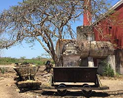 SISTEMAS SALVOPASTORALES