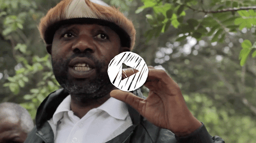 Man wearing traditional African headwear speaking and gesturing outdoors with trees in the background.