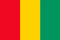 Guinea Flag